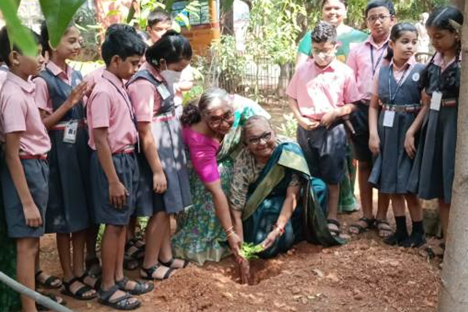 Environment Day